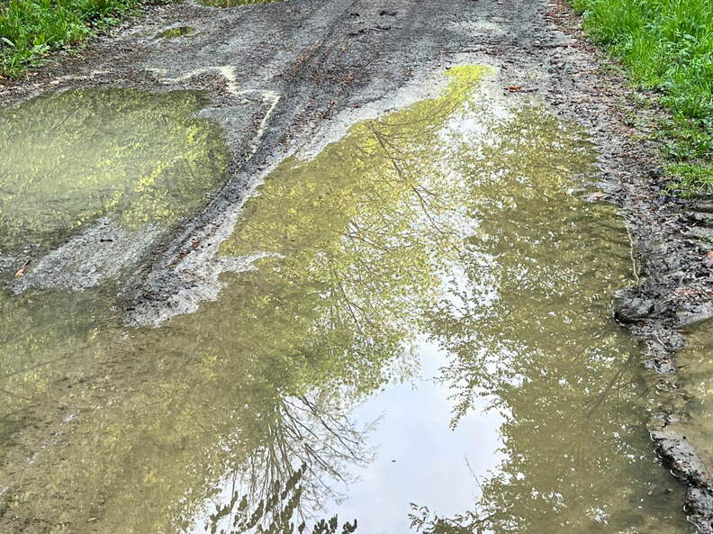 22-04-25 09-38-54 0606